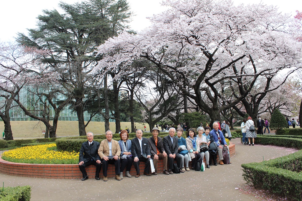 41会新宿御苑花見2.jpg