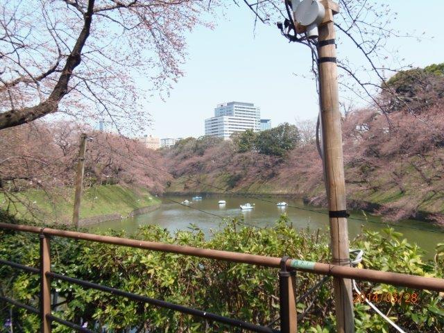 140328_arukoukai_004.jpg